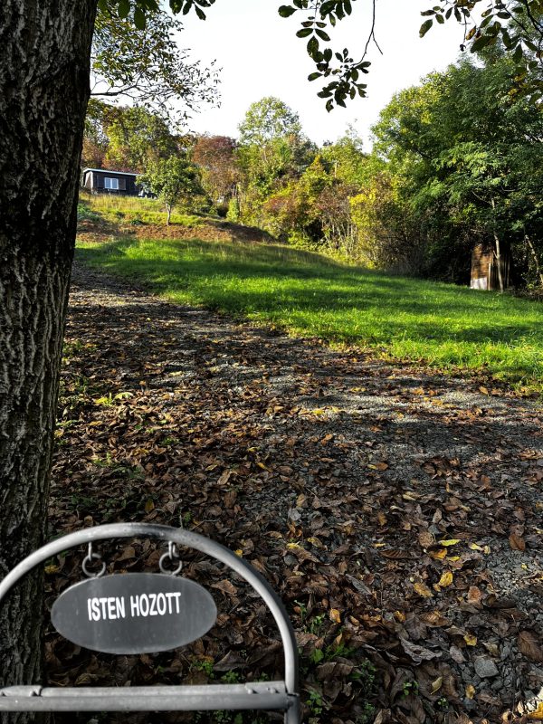 A Panoráma Kabin erdei kertje és bejárata